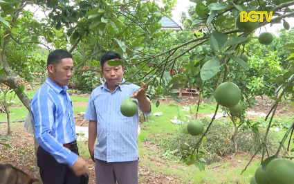 Đồng h&agrave;nh c&ugrave;ng n&ocirc;ng d&acirc;n giảm ngh&egrave;o bền vững 