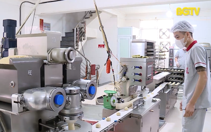 Dự kiến to&agrave;n tỉnh c&oacute; 500 sản phẩm OCOP