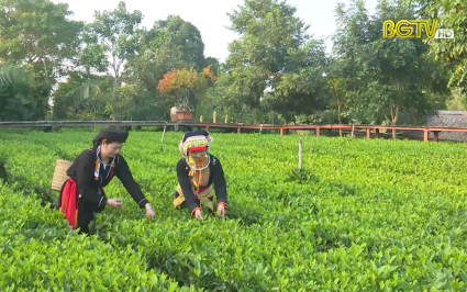  Du lịch đạt OCOP mang lại hiệu quả đa chiều