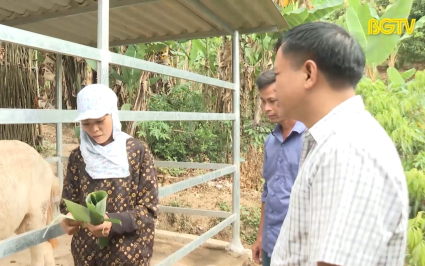 Đưa m&ocirc; h&igrave;nh sinh kế hiệu quả đến với người ngh&egrave;o 