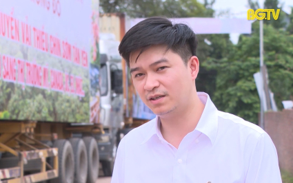 Đưa vải thiều sớm T&acirc;n Y&ecirc;n vươn xa