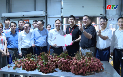 Đưa vải thiều v&agrave;o c&aacute;c khu c&ocirc;ng nghiệp