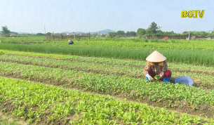 Duy tr&igrave; sản xuất n&ocirc;ng nghiệp trong m&ugrave;a dịch