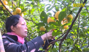 Tạp ch&iacute; N&ocirc;ng nghiệp N&ocirc;ng th&ocirc;n ng&agrave;y 12 - 01 - 2019
