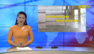 Bắc Giang b&igrave;nh tĩnh, chủ động ngăn chặn dịch tả lợn Ch&acirc;u Phi