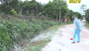 Y&ecirc;n Thế nỗ lực kh&ocirc;ng để dịch tả lợn Ch&acirc;u Phi l&acirc;y lan rộng