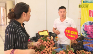Ấn tượng tuần lễ vải thiều Lục Ngạn tại H&agrave; Nội