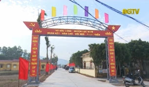 N&ocirc;ng th&ocirc;n mới bứt ph&aacute; những th&aacute;ng cuối năm