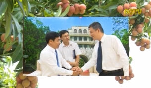 CTT: Tăng cường x&uacute;c tiến ti&ecirc;u thụ vải thiều