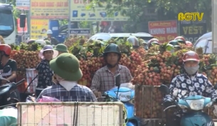 Kh&ocirc;ng c&oacute; chuyện vải thiều bị rớt gi&aacute; như một số b&aacute;o phản &aacute;nh