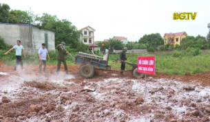 Hiệp H&ograve;a tăng cường ph&ograve;ng chống bệnh dịch tả lợn Ch&acirc;u Phi