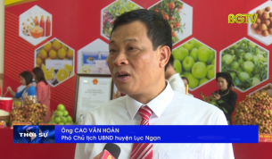 Tạo điều kiện thuận lợi th&uacute;c đẩy ti&ecirc;u thụ vải thiều