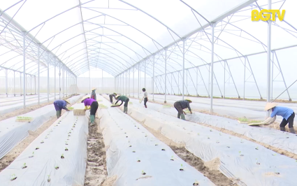 Gần 2.200 tỷ đồng ph&aacute;t triển sản xuất n&ocirc;ng nghiệp, n&ocirc;ng th&ocirc;n