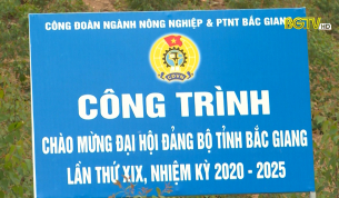 Gắn biển c&ocirc;ng tr&igrave;nh ch&agrave;o mừng Đại hội Đảng bộ tỉnh
