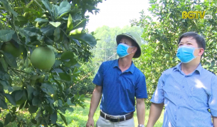 Gắn ti&ecirc;u thụ n&ocirc;ng sản với du lịch miệt vườn