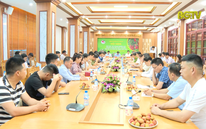 Gặp mặt c&aacute;c doanh nghiệp, hợp t&aacute;c x&atilde;, thương nh&acirc;n sản xuất, chế biến, ti&ecirc;u thụ vải thiều