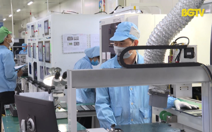 Gia hạn, giảm hơn 1.530 tỷ đồng tiền thuế