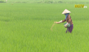 Giảm gi&aacute; th&agrave;nh đầu v&agrave;o trước thực tế gi&aacute; ph&acirc;n b&oacute;n tăng cao