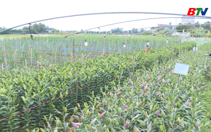  Giảm ngh&egrave;o bền vững: Quỹ hỗ trợ n&ocirc;ng d&acirc;n gi&uacute;p giảm ngh&egrave;o bền vững