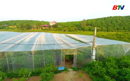 Giảm ngh&egrave;o bền vững: Ứng dụng c&ocirc;ng nghệ cao v&agrave;o sản xuất