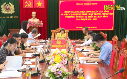 Gi&aacute;m s&aacute;t việc chấp h&agrave;nh ph&aacute;p luật trong c&ocirc;ng t&aacute;c thi h&agrave;nh &aacute;n h&igrave;nh sự giai đoạn 2020-2022
