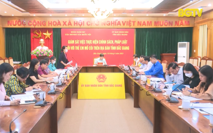 Gi&aacute;m s&aacute;t việc thực hiện ch&iacute;nh s&aacute;ch, ph&aacute;p luật đối với trẻ mồ c&ocirc;i 