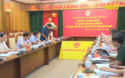 Gi&aacute;m s&aacute;t việc thực hiện Nghị định của Ch&iacute;nh phủ về thi h&agrave;nh Ph&aacute;p lệnh Cựu chiến binh