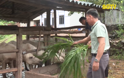 Gi&uacute;p đồng b&agrave;o d&acirc;n tộc thiểu số vươn l&ecirc;n tho&aacute;t ngh&egrave;o 