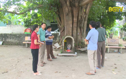 G&oacute;c nh&igrave;n thẳng: Thực hư c&acirc;u chuyện Bạch X&agrave;