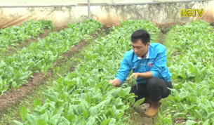 Gương B&iacute; thư Đo&agrave;n x&atilde; l&agrave;m kinh tế giỏi