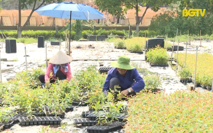 Người c&oacute; uy t&iacute;n đi đầu trong ph&aacute;t triển kinh tế