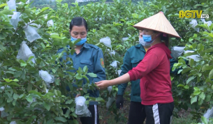 Gương phụ nữ l&agrave;m kinh tế giỏi