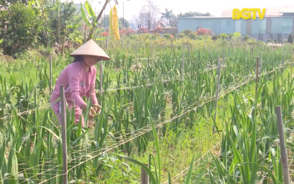 Gương phụ nữ vượt kh&oacute;, l&agrave;m kinh tế giỏi 