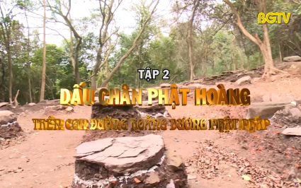 H&agrave;nh tr&igrave;nh theo dấu ch&acirc;n Phật ho&agrave;ng - Tập 2: Dấu ch&acirc;n Phật ho&agrave;ng tr&ecirc;n con đường hoằng dương Phật Ph&aacute;p
