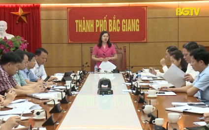 HĐND tỉnh gi&aacute;m s&aacute;t quản l&yacute;, sử dụng t&agrave;i sản c&ocirc;ng