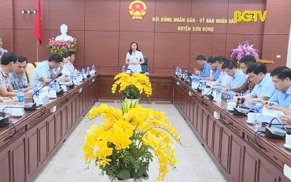 Gi&aacute;m s&aacute;t việc quản l&yacute;, sử dụng t&agrave;i sản c&ocirc;ng tại Sơn Động