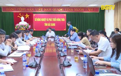 HĐND tỉnh gi&aacute;m s&aacute;t việc thực hiện chuyển mục đ&iacute;ch sử dụng rừng