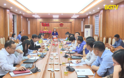 HĐND tỉnh gi&aacute;m s&aacute;t xử l&yacute; vi phạm h&agrave;nh ch&iacute;nh tại huyện Hiệp Ho&agrave; 