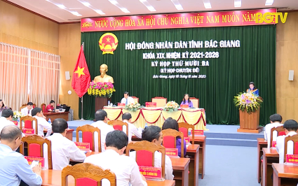 HĐND tỉnh th&ocirc;ng qua 5 dự thảo Nghị quyết
