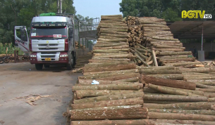 HĐND với cử tri: Vấn đề chế biến l&acirc;m sản ở Bắc Giang