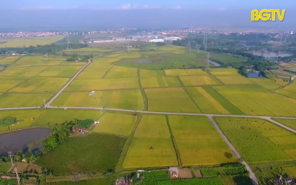 Hiệp H&ograve;a n&acirc;ng cao chất lượng chương tr&igrave;nh n&ocirc;ng th&ocirc;n mới 
