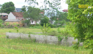 Hiệp Ho&agrave; tăng cường xử l&yacute; vi phạm đất đai theo Chỉ thị 19