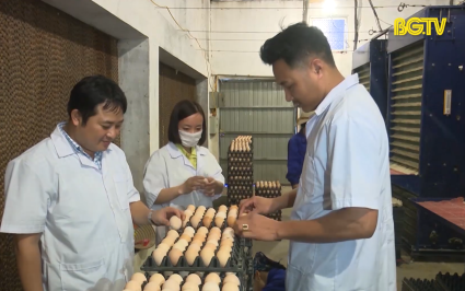 Hiệp H&ograve;a tập trung n&acirc;ng cao chất lượng sản phẩm OCOP