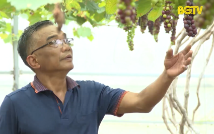 Hiệp H&ograve;a ưu ti&ecirc;n x&acirc;y dựng OCOP gắn với ti&ecirc;u ch&iacute; n&ocirc;ng th&ocirc;n mới 