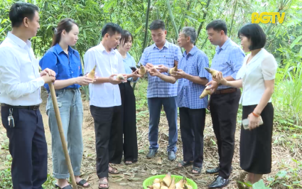 Hiệp H&ograve;a x&acirc;y dựng sản phẩm OCOP đặc trưng