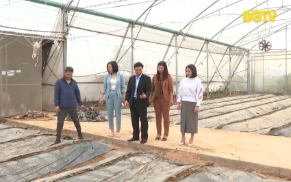 Hiệu quả từ c&aacute;c m&ocirc; h&igrave;nh sản xuất n&ocirc;ng nghiệp ứng dụng IOT 