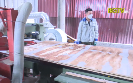 Hiệu quả từ chương tr&igrave;nh khuyến c&ocirc;ng
