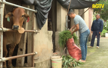 Hiệu quả từ hoạt động hỗ trợ ph&aacute;t triển sản xuất,đa dạng ho&aacute; sinh kế, ph&aacute;t triển m&ocirc; h&igrave;nh giảm ngh&egrave;o tr&ecirc;n địa b&agrave;n huyện Lạng Giang