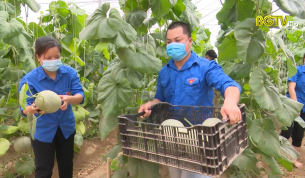 Hiệu quả từ việc hỗ trợ ti&ecirc;u thụ n&ocirc;ng sản cho b&agrave; con n&ocirc;ng d&acirc;n