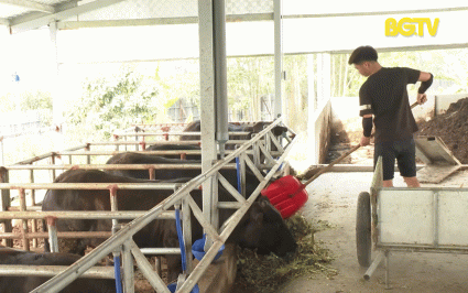 Hiệu quả ứng dụng c&ocirc;ng nghệ sinh học